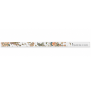 Gasparini Ruler